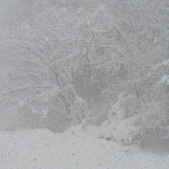 in the cold (feat. mydearaurora)