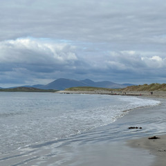 Shelter (New mix with Bass and Fuzz parts)