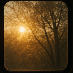 niceBUTCANTHEARMUSICINMYHEADTOOIGNORANTTOACTUALLYTRY - 10:8:25, 3.33 PM