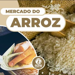 Mercado do ARROZ 18-05-2022