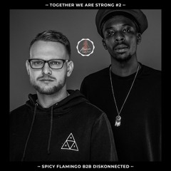 Podcast #12 /  Spicy Flamingo B2b Diskonnected Fahrung