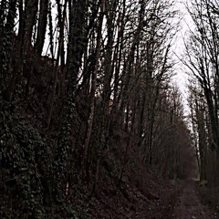 ꧁ me & friends ꧂