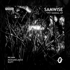 PZR004 - SAMWISE - Pit Vandal Ep