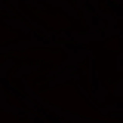 DJS003