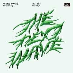 The Next Wave, Volume. 13 - Mixed by Kasimyn