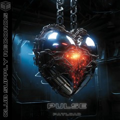 Payload - Pulse