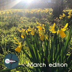 TMC Records - March 2025 playlist