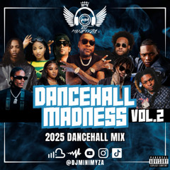Dancehall Madness Vol.2