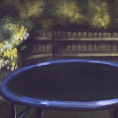 Nights On Your Trampoline