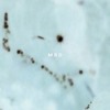 MRD - Taapion | Intercell October Series 2020 DJ mix artwork - Electronic music tracklist cover image