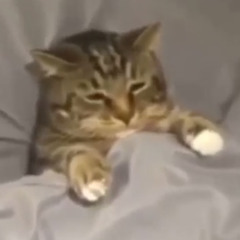 wodospady x zimnysamotny