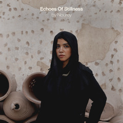 Echoes of Stillness - Nourey [Anjuna Chill]