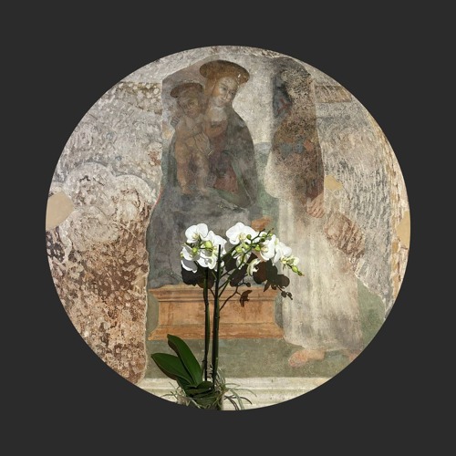 Substak - Carcer