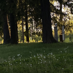 ALASKALASKA - Monster