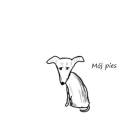 Mój pies