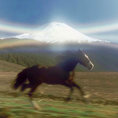 sugar water cyanide (dobb gallop mix)