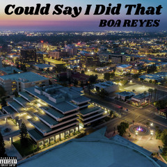 Could Say I Did That