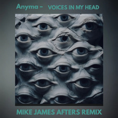 VOICES IN MY HEAD  MIKE JAMES REMIX