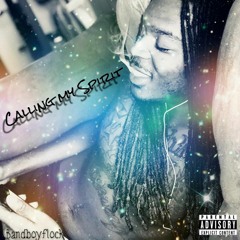Calling My Spirits