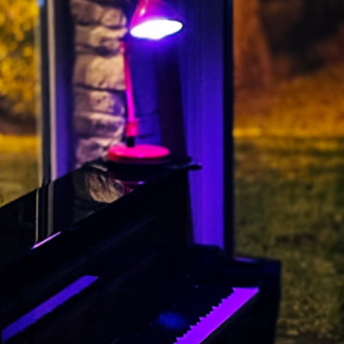 Improvisation_260125_BlueLIght