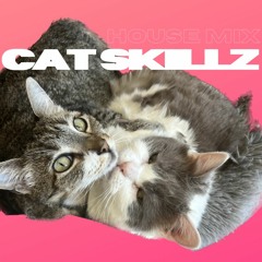Cat Skillz