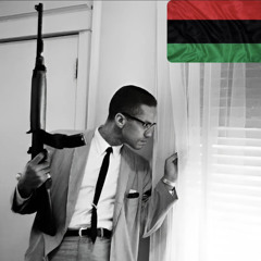 we ALL have a common enemy,  BY.MALCOLM EL-MALIK EL- SHABAZZ