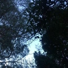 Call - Lucreccia Quintanilla