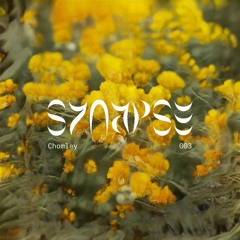 003 ---- Chomley x Wattle
