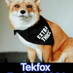 Tekfox MFF 2021