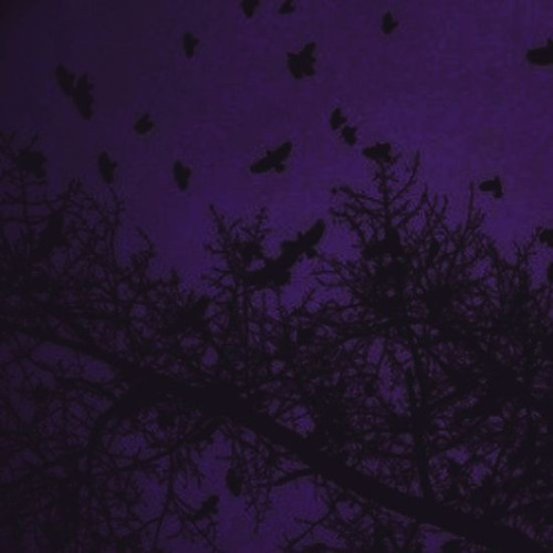 #yaya pt1🧛🏼‍♀️