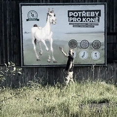 M Y HorSe