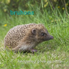 hedgehog goes on a trip