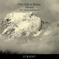 Pete Oak & Notize - Merula (Original Mix)