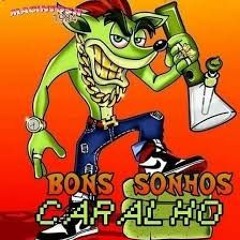 NA RELIQUIA DO BANDICOOT KKKKKKK ((DJ G12))