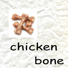 chicken bone