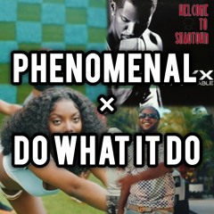 Teejay - Phenomenal × Do What It Do | R&B Mashup