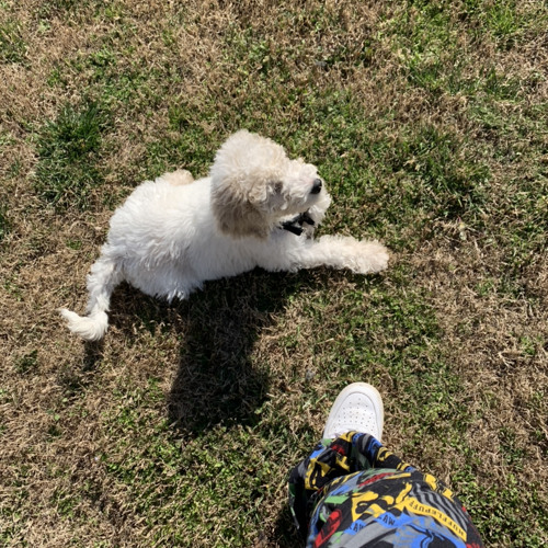 @trapgokrazy - Cant Save Me Freestyle (Prod. Level)