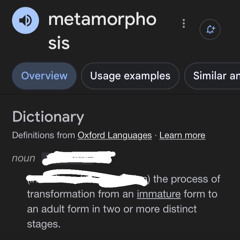 Metamorphis/metamorphosis (me, in my room)