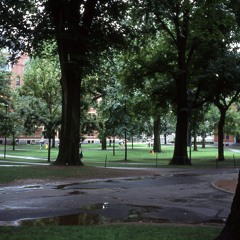 Clementi Vivace Op.36