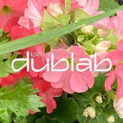 Dublab BCN - B - Sides 22.02.03 W  Synthetic Flower