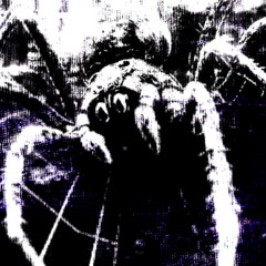 ARACHNID