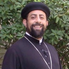 Growing In Wisdom (Fr Michael Sorial)