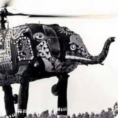 Elephant- elephants high on helicopters 175bpm prev.