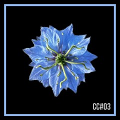 PREMIERE: Don Creek - Shirqa (Original Mix) [Cosmicadence]