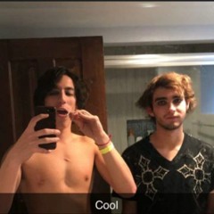 The Patriachy Of Poultry