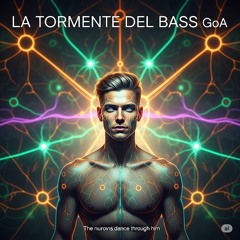 LA TORMENTA DEL BASS