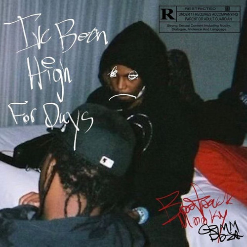 I'VE BEEN HIGH FOR DAYS