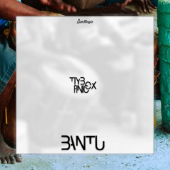 Tiybox & Finicox - Bantu