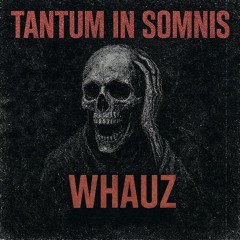 Tantum In Somnis