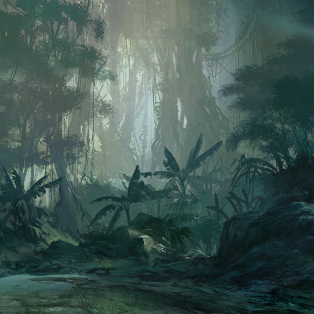Through the Jungle
